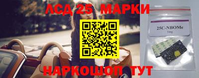 индика Кунгур
